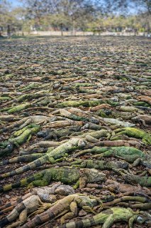 Иллюстрация 5