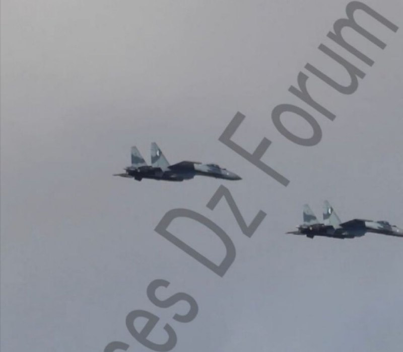 Российские Су-35Э предположительно поставлены в Алжир