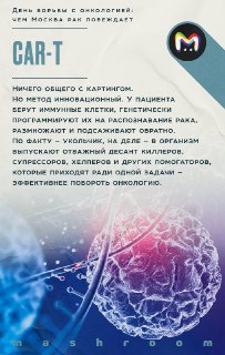 Иллюстрация 2