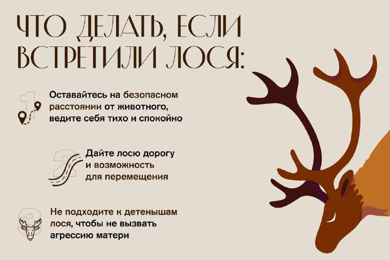 Иллюстрация 2