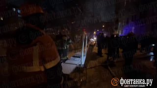 В коробке с коктейлями Молотова нашли голубя