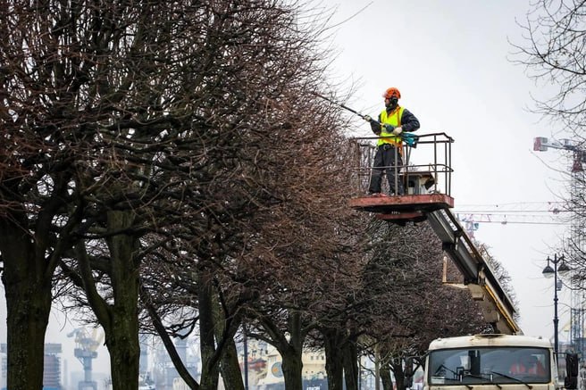 В Петербурге готовятся к весеннему озеленению