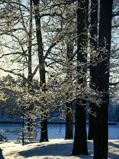 Иллюстрация 2