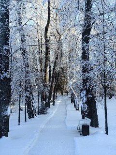 Иллюстрация 4