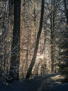 Иллюстрация 5