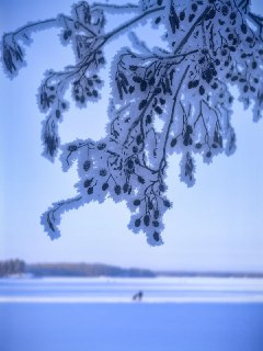 Иллюстрация 6