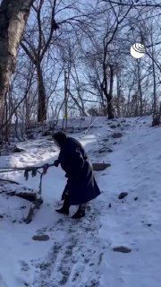 Иллюстрация 2