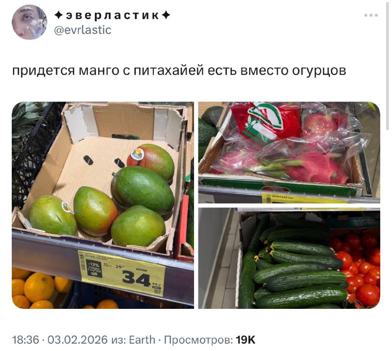 Огурцы сравнялись по цене с экзотическими фруктами в России