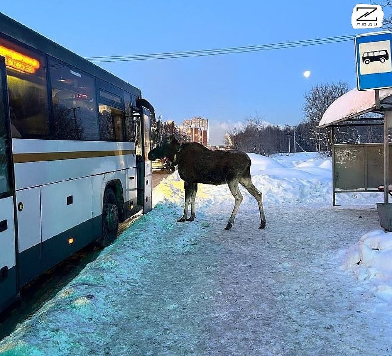 Иллюстрация 2