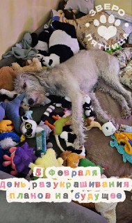 Инструкция на день: как составить список целей и не расстраиваться