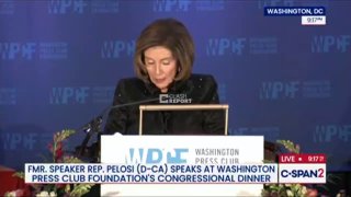 Пелоси раскритиковала политическую ситуацию в США