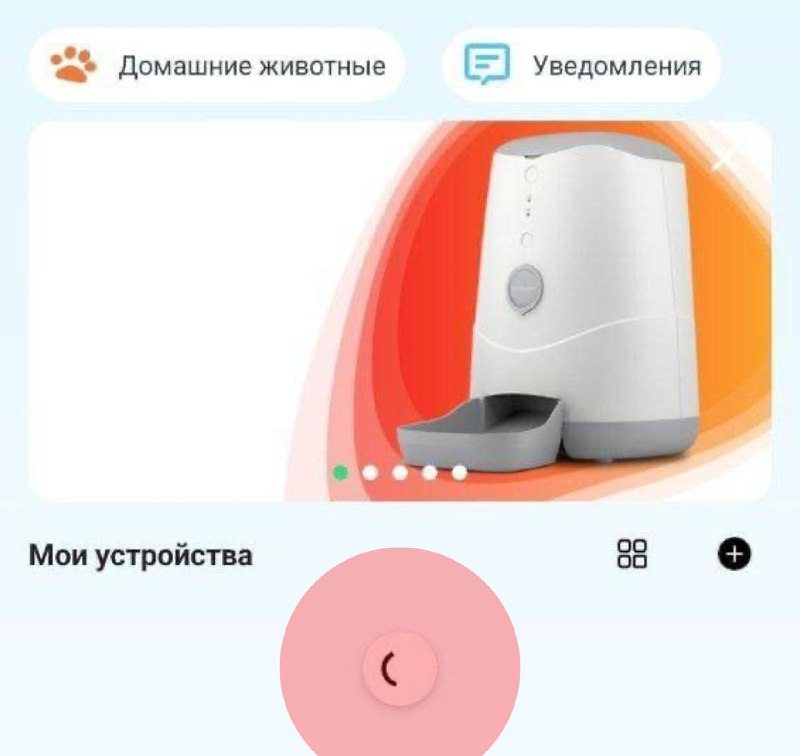 Сбой "умных" кормушек из-за блокировок интернета
