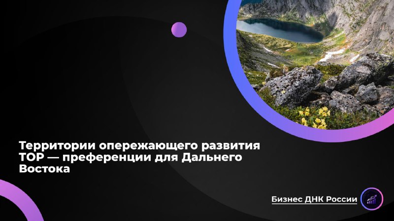 ТОРы на Дальнем Востоке: льготы или схема выкачивания преференций?