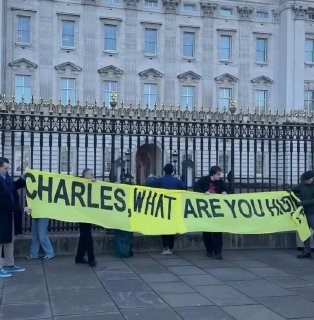 Акция протеста у Букингемского дворца против связей королевской семьи с Эпштейном