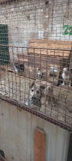 Иллюстрация 2