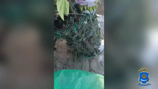 В Астрахани аферисты обманом заставили девочку отнести украшения матери на кладбище