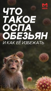 В мире растет число заболевших оспой обезьян