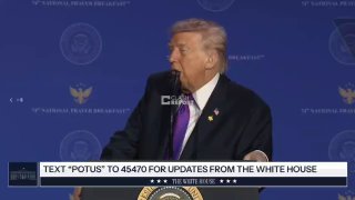 Трамп и Гренландия: спор о самом большом куске льда