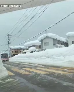 Иллюстрация 3