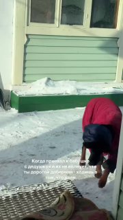 Доберман стал Добрыней