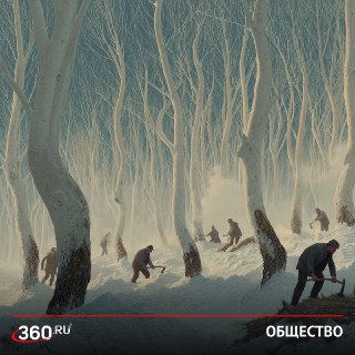 Американский клен: враг или мигрант?