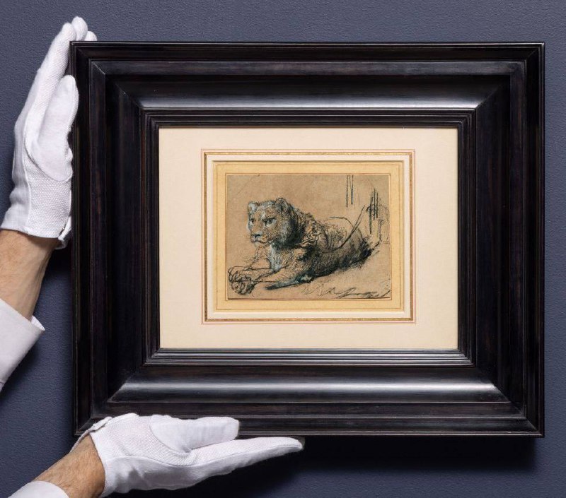 Рисунок Рембрандта пошел на благо диких кошачьих