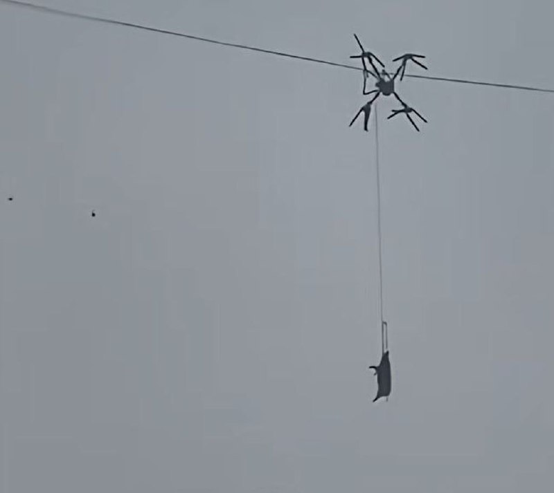 В Китае свинья на дроне вызвала масштабный блэкаут