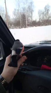 Иллюстрация 1