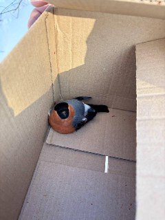 Иллюстрация 2