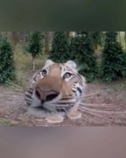 Иллюстрация 2