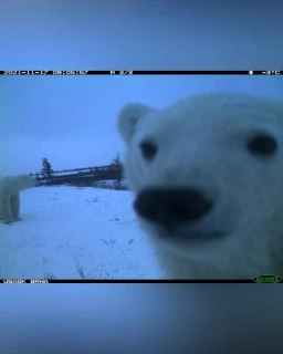 Иллюстрация 3