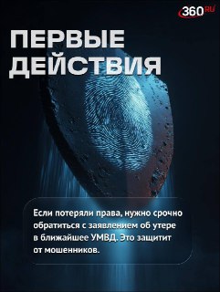 Иллюстрация 2