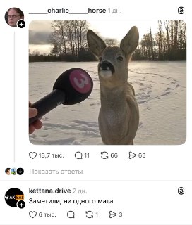 Пустота стала вирусной в Тредс