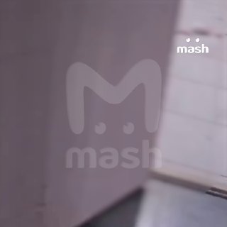 Нападение на общежитие БГМУ: шесть раненых, двое в тяжелом состоянии