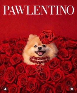 Иллюстрация 3