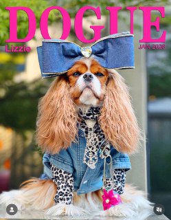 Иллюстрация 4