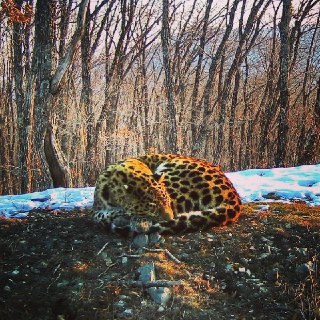 Иллюстрация 3