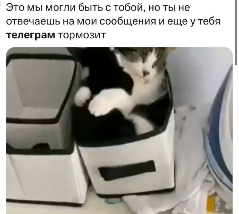 Telegram: решение суда о блокировке не отменено, жалобы на сбои уменьшились