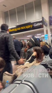 Иллюстрация 1