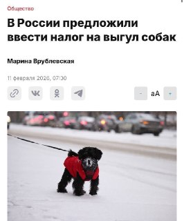 В России предложили ввести налог на выгул собак