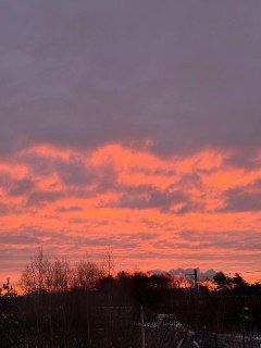 Жители Москвы восхитились красочным рассветом