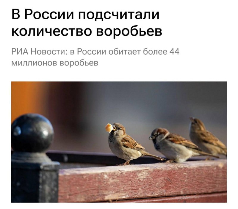 В России насчитали 44 миллиона воробьев