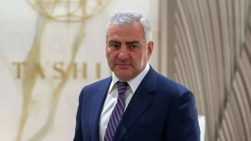 Самвела Карапетяна избрали председателем партии "Сильная Армения"