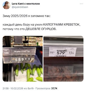 В России огурцы подорожали до уровня креветок