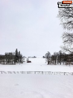 Иллюстрация 3