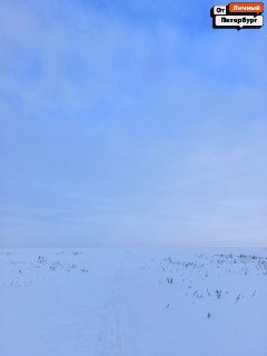 Иллюстрация 7