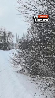 Иллюстрация 1