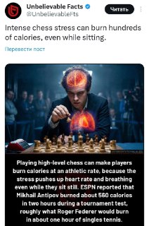 Шахматы как фитнес: как игра помогает сжигать жир