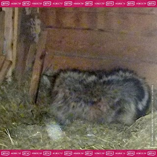 Иллюстрация 2