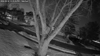 Иллюстрация 1